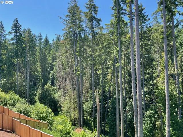 a view of a forest from a balcony