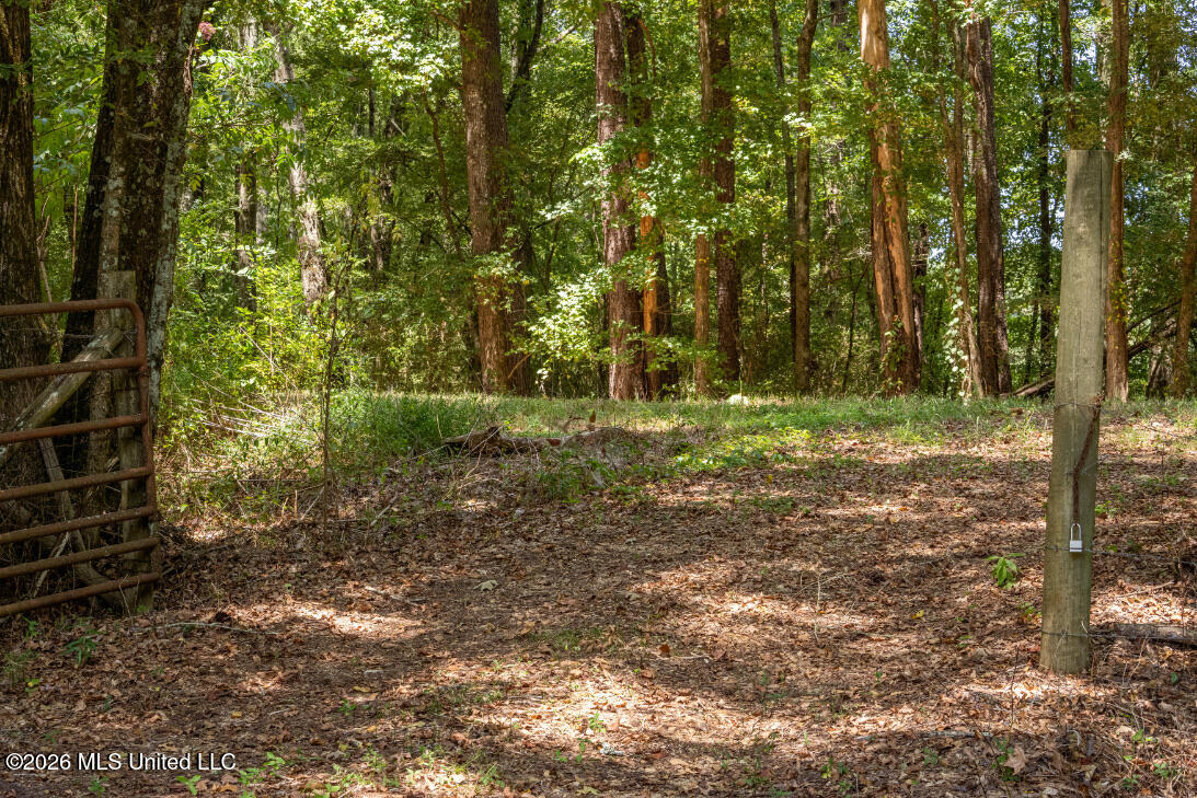 5056 Bethesda Road Crystal Springs, MS 39059 - Photo 45 of 48 DSC01845