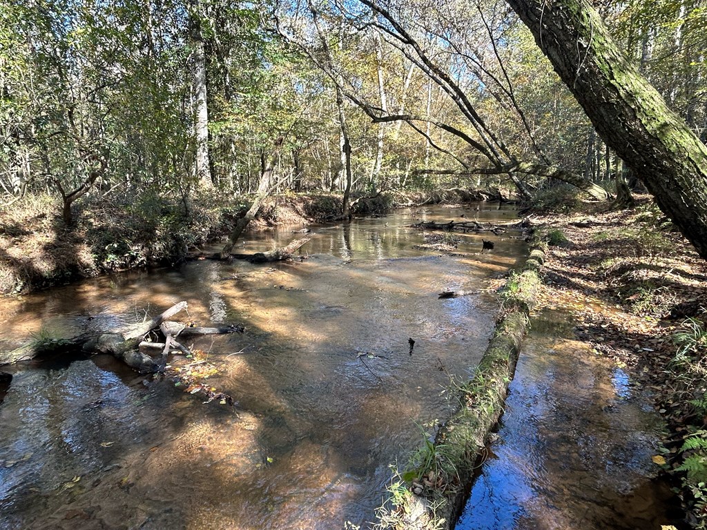 62/ Cty Road Coleman, GA 39836 - Photo 33 of 58