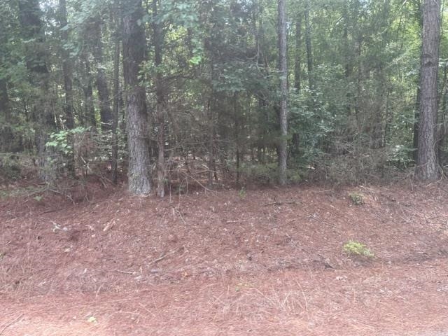 4 Hardin Graveyard Road Enville, TN 38332 - Photo 13 of 29