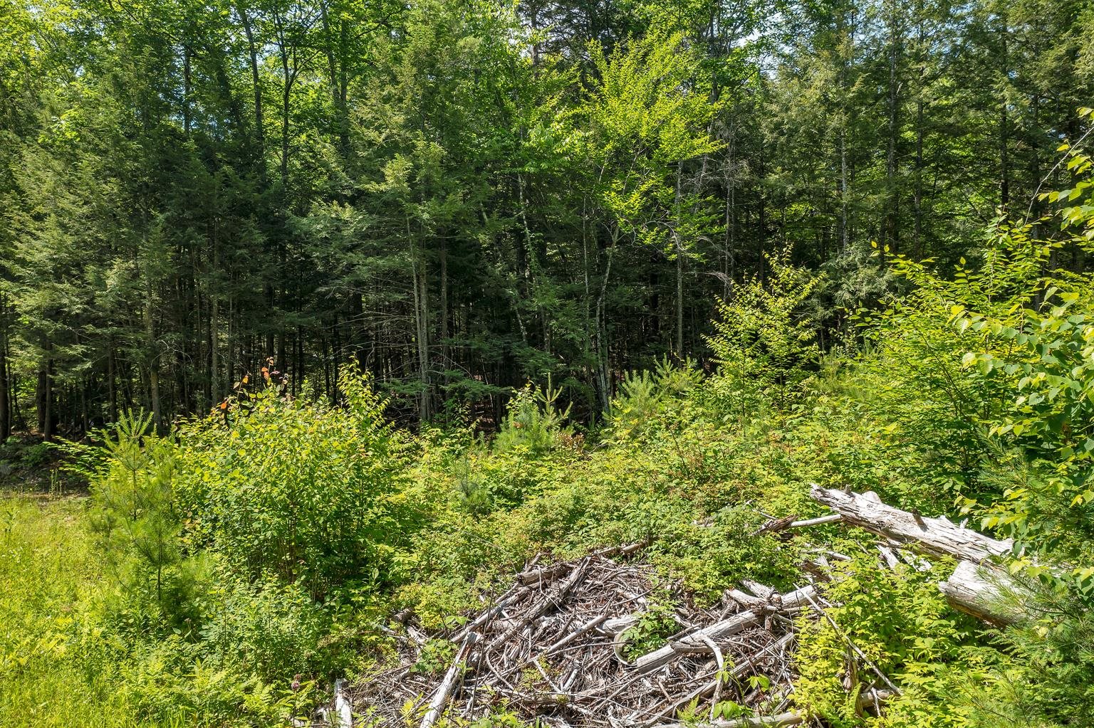 60-7 Minge Cove Road Alton, NH 03810 - Photo 5 of 10 Gallery Image 5