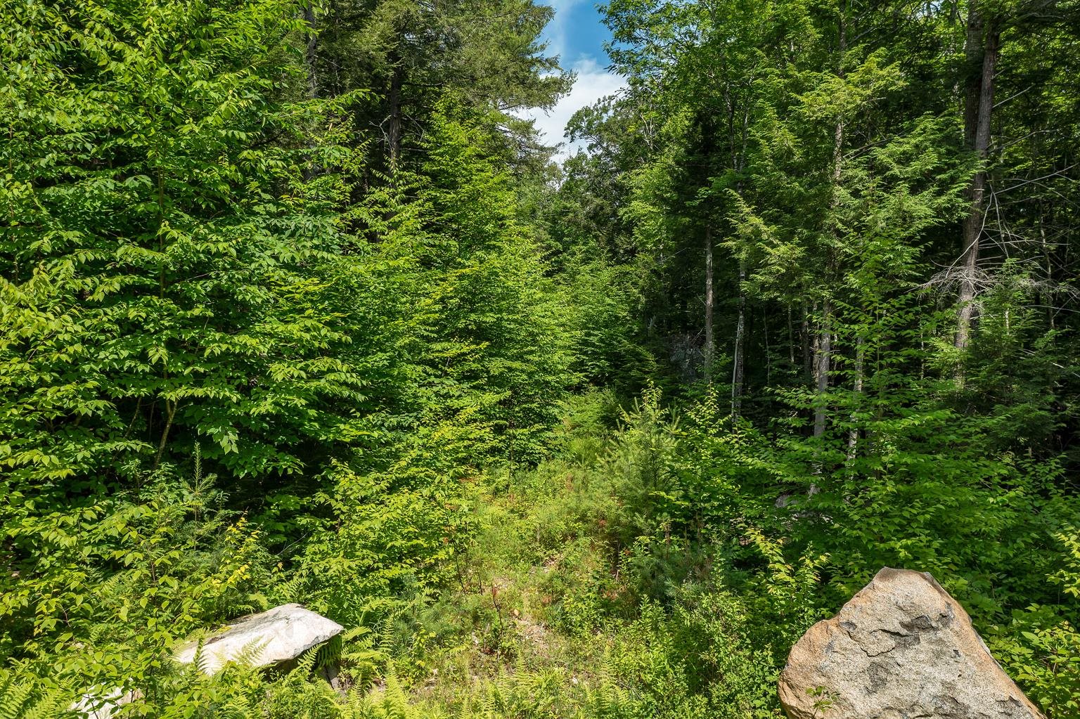60-7 Minge Cove Road Alton, NH 03810 - Photo 6 of 10 Gallery Image 6