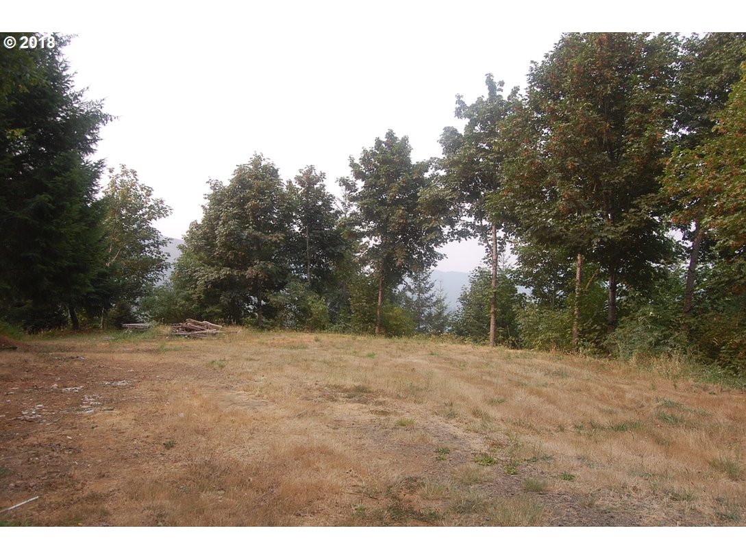 0 Southwest Peavine Road McMinnville, OR 97128 - Photo 13 of 14 Gallery Image 13
