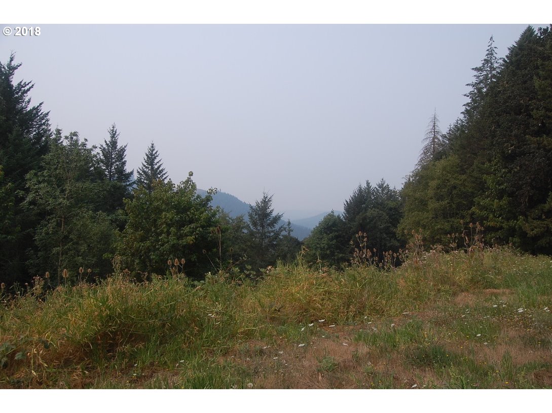 0 Southwest Peavine Road McMinnville, OR 97128 - Photo 14 of 14 Gallery Image 14