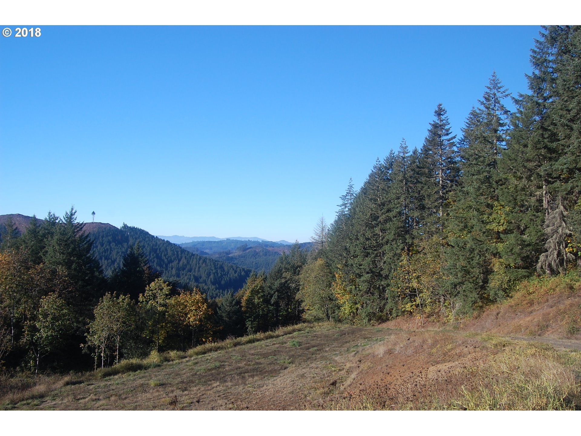 0 Southwest Peavine Road McMinnville, OR 97128 - Photo 2 of 14 Gallery Image 2