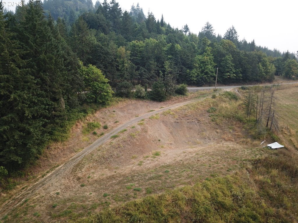 0 Southwest Peavine Road McMinnville, OR 97128 - Photo 3 of 14 Gallery Image 3