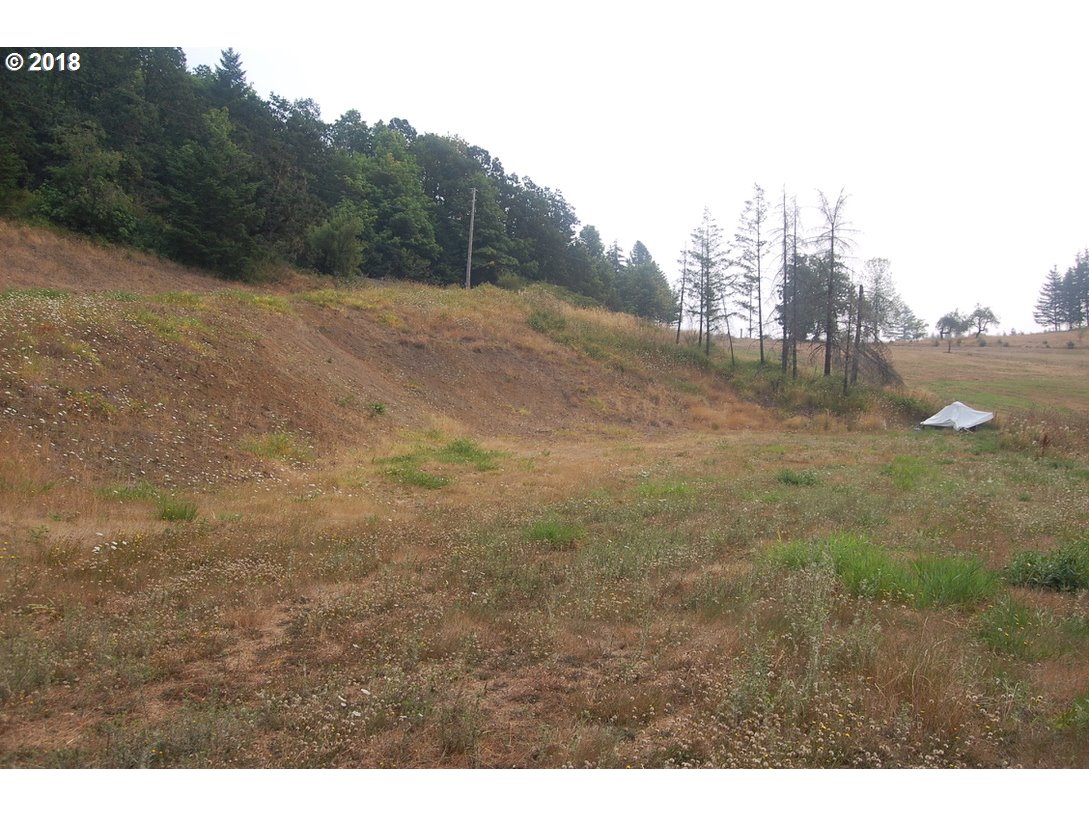 0 Southwest Peavine Road McMinnville, OR 97128 - Photo 5 of 14 Gallery Image 5