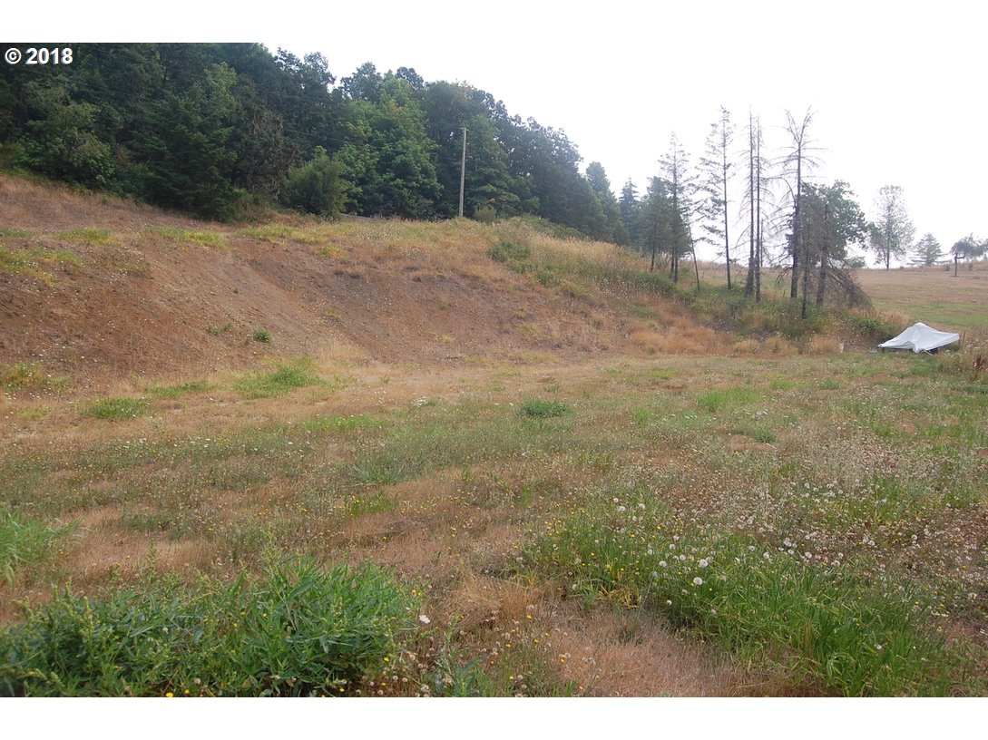 0 Southwest Peavine Road McMinnville, OR 97128 - Photo 7 of 14 Gallery Image 7