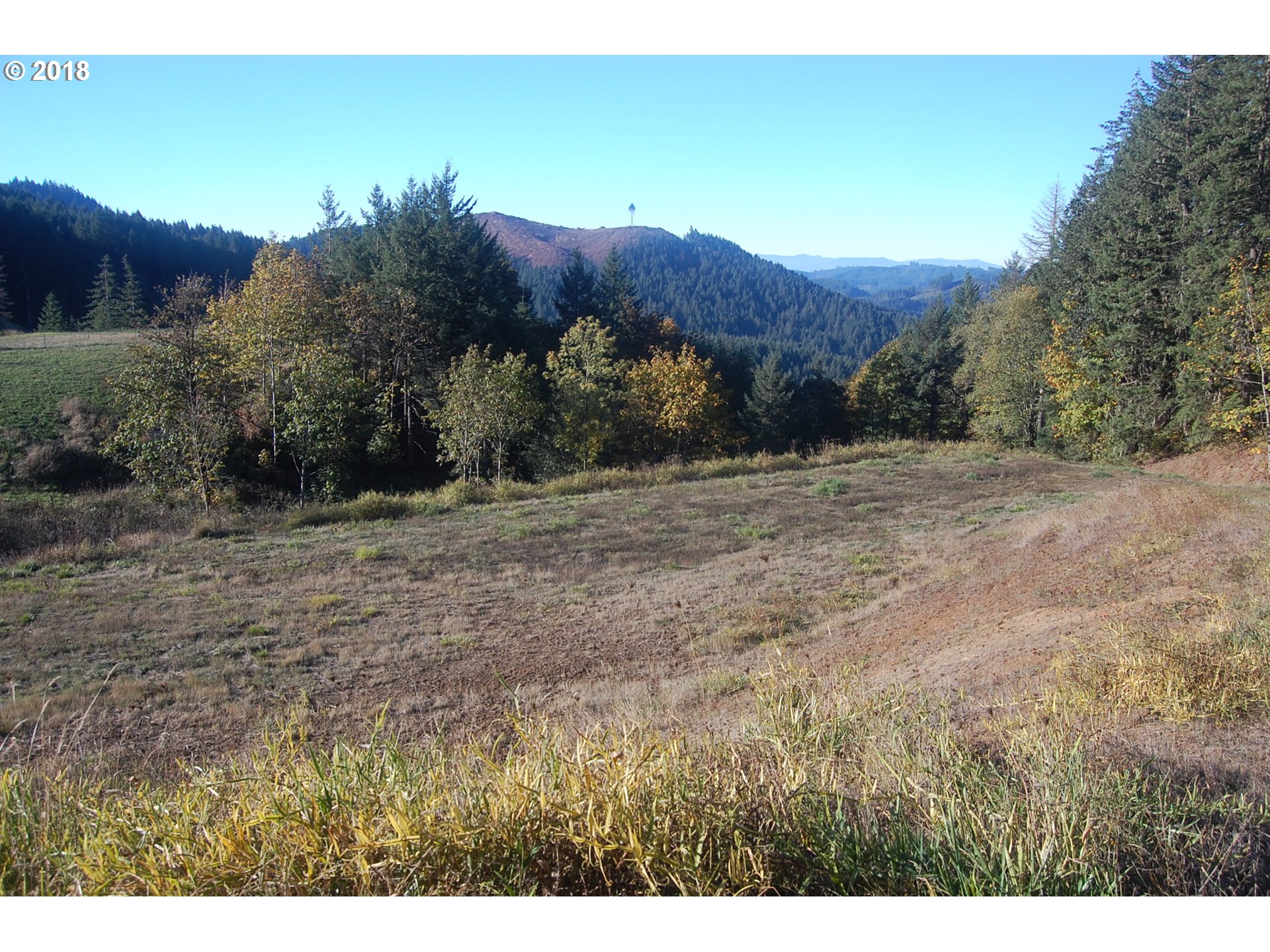 0 Southwest Peavine Road McMinnville, OR 97128 - Photo 8 of 14 Gallery Image 8