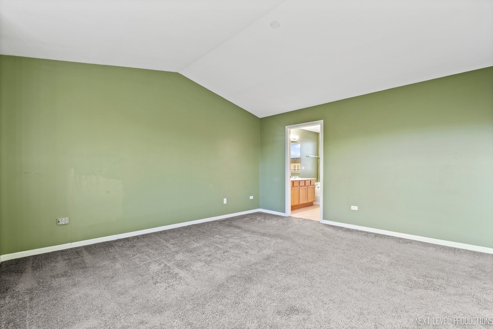 230 Tiger Street Bolingbrook, IL 60490 - Photo 18 of 27 an empty room with window