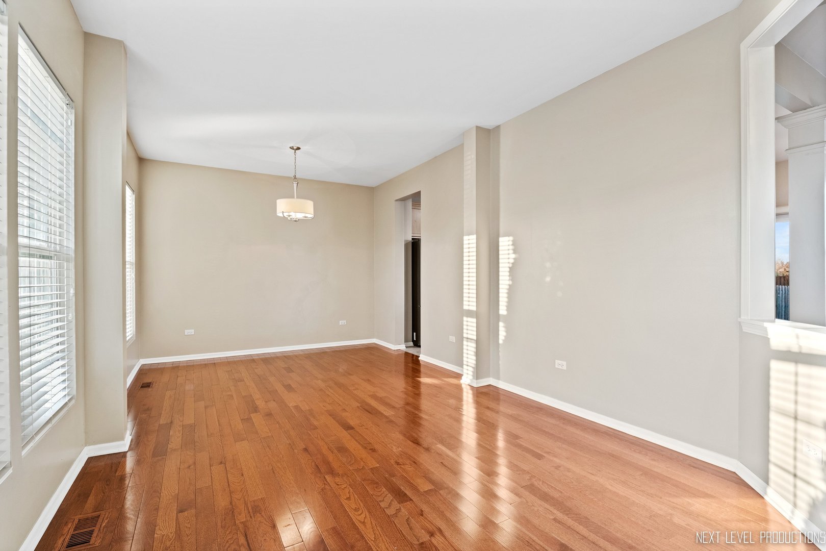 230 Tiger Street Bolingbrook, IL 60490 - Photo 8 of 27 a view of an empty room with wooden floor and a window
