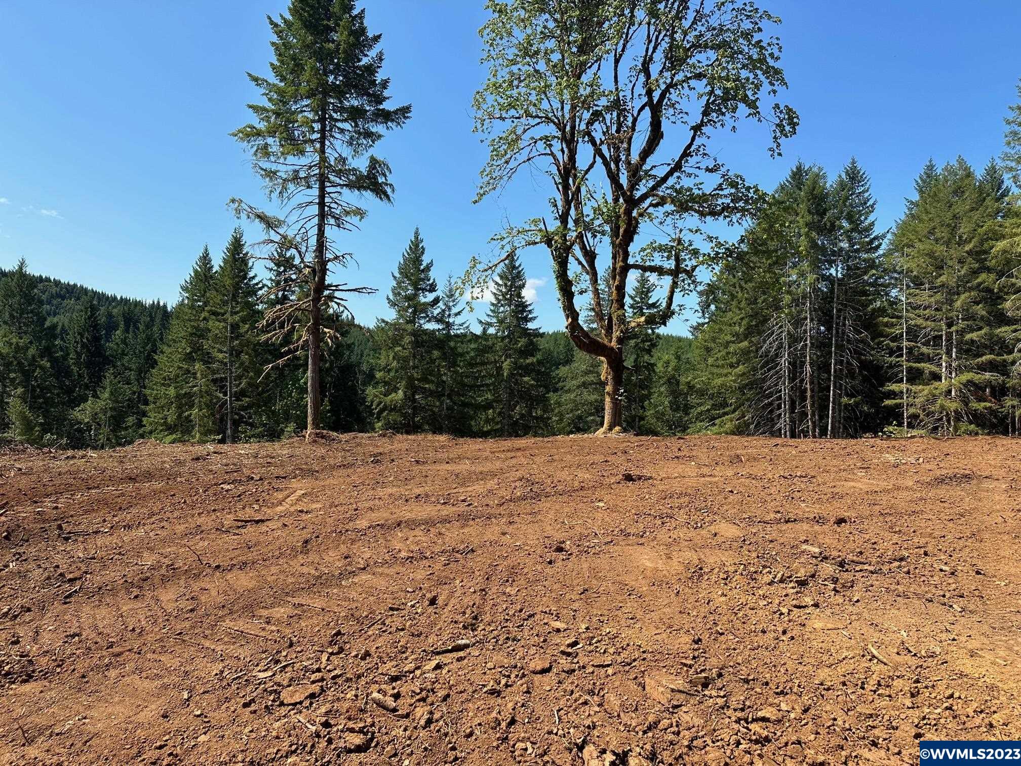 526258 Southwest Pumpkinseed Road Willamina, OR 97396 - Photo 7 of 24