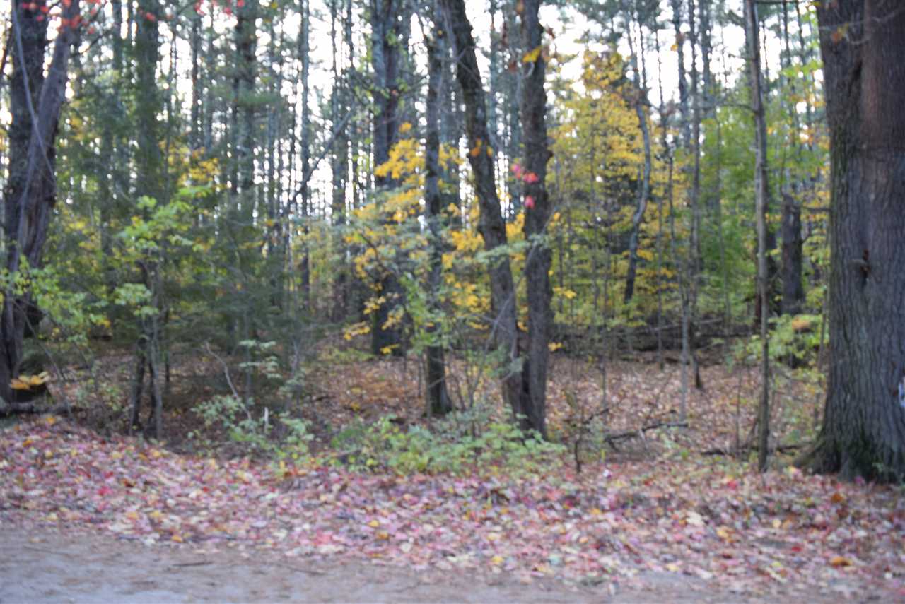 10 Longa Road Merrimack, NH 03054 - Photo 2 of 6
