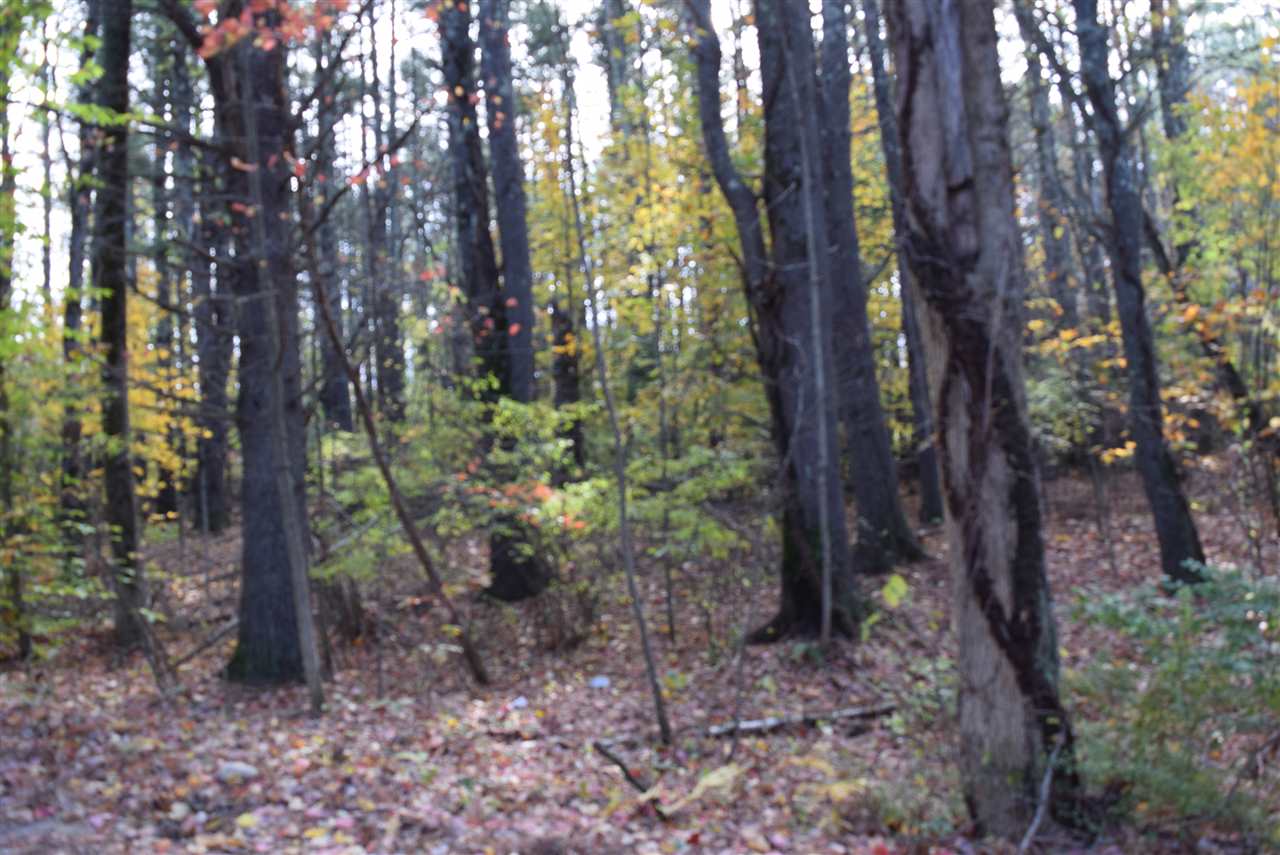 10 Longa Road Merrimack, NH 03054 - Photo 3 of 6