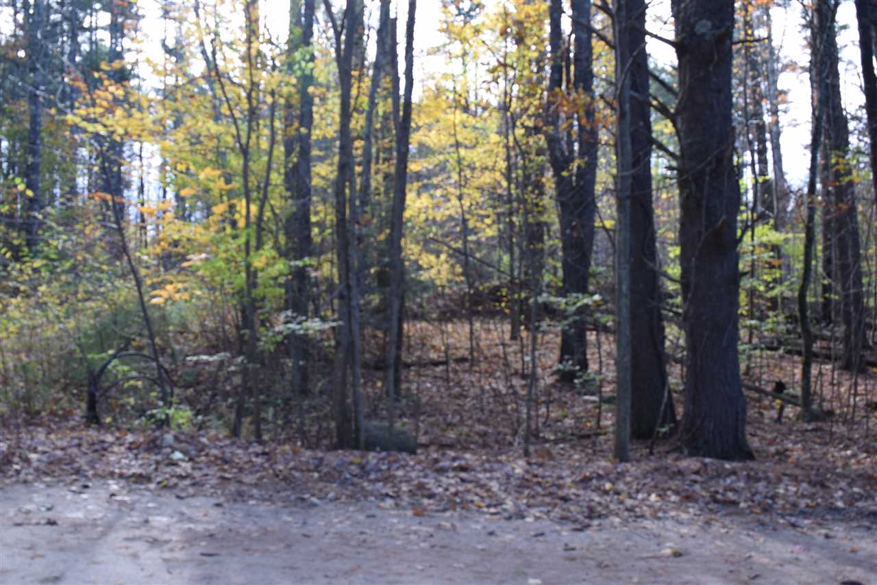 10 Longa Road Merrimack, NH 03054 - Photo 4 of 6