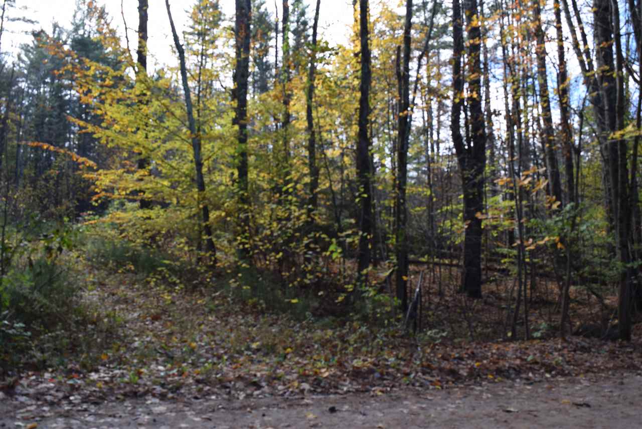 10 Longa Road Merrimack, NH 03054 - Photo 5 of 6