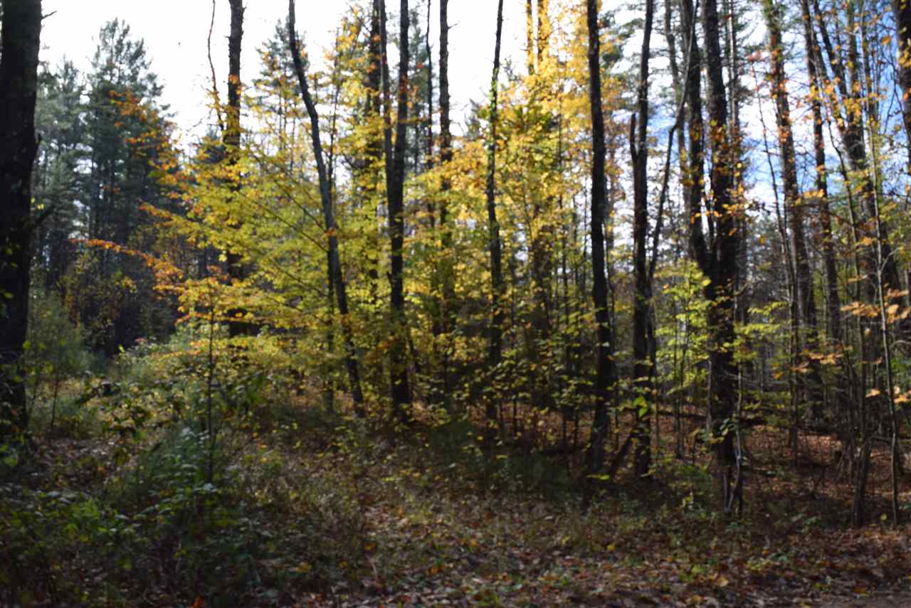 10 Longa Road Merrimack, NH 03054 - Photo 6 of 6