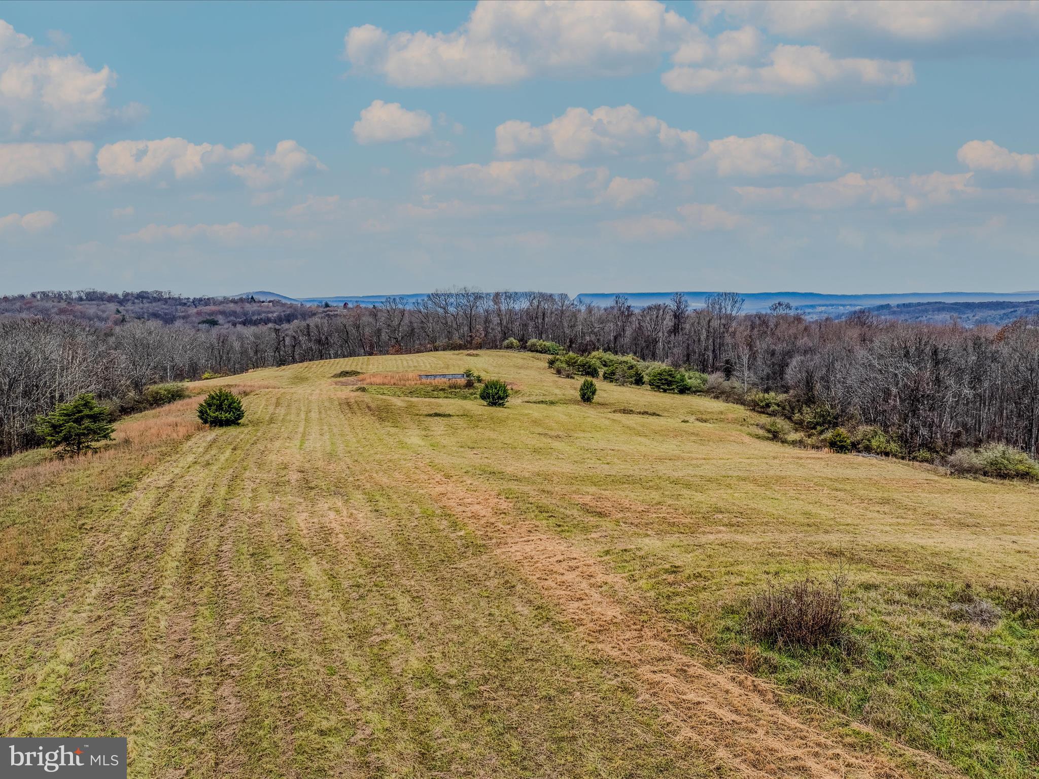 Forever View Lane Berkeley Springs, WV 25411 - Photo 4 of 31