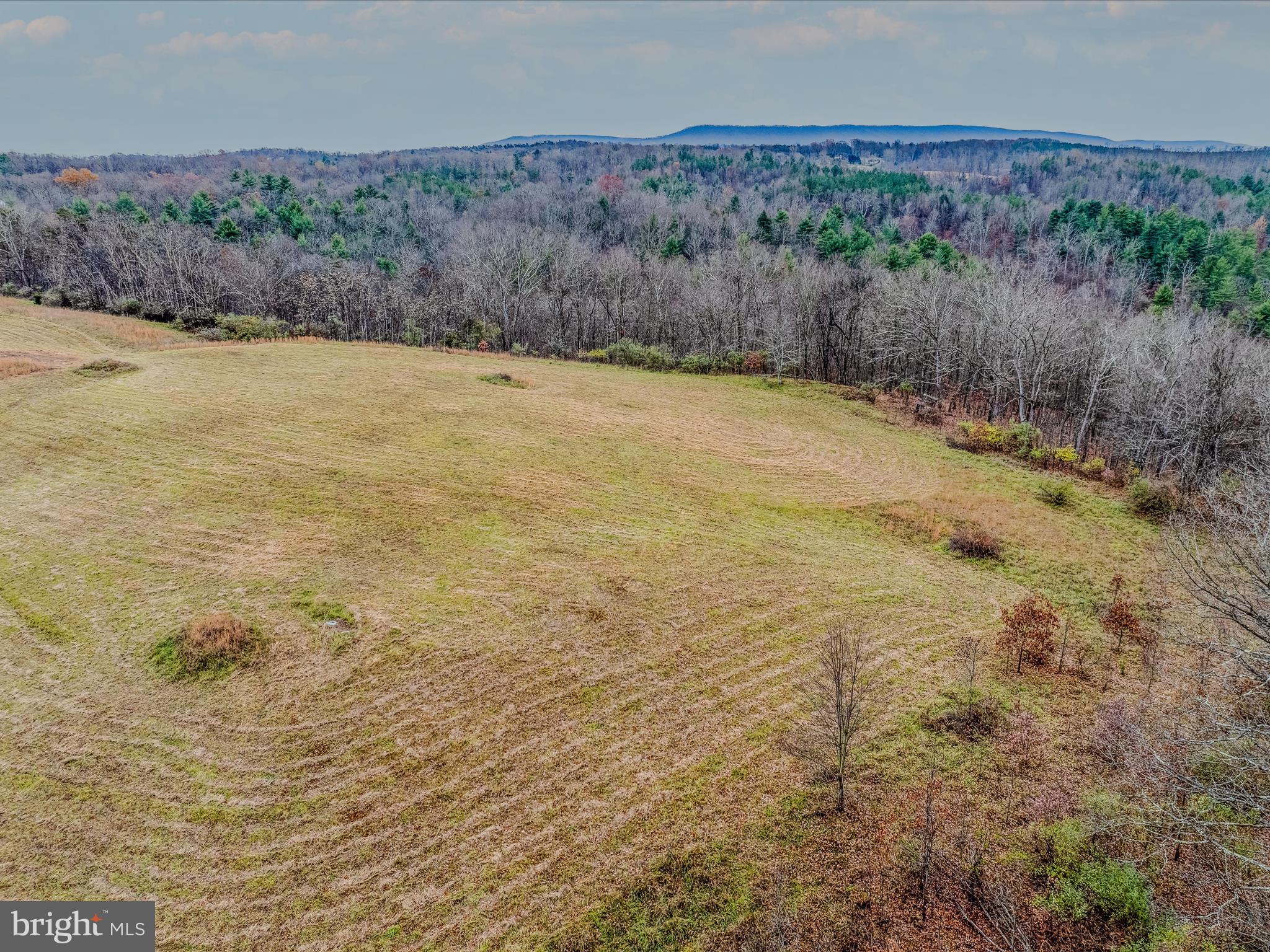 Forever View Lane Berkeley Springs, WV 25411 - Photo 6 of 31