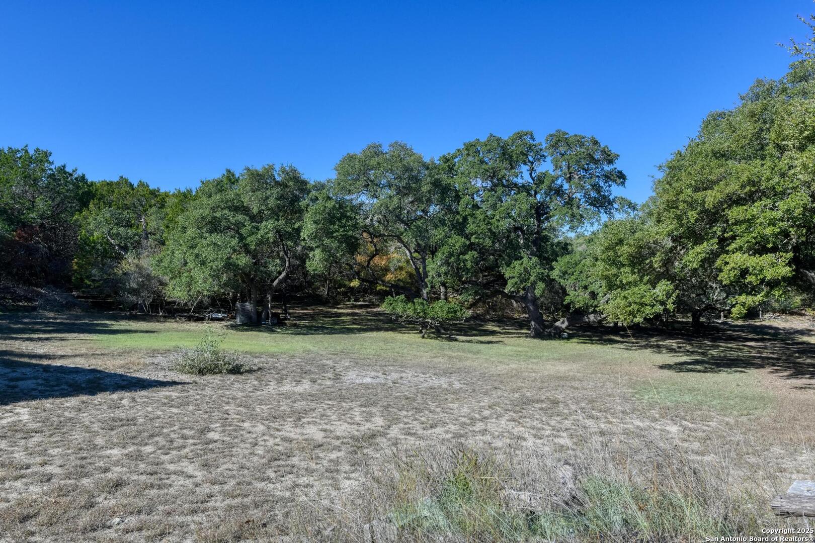 105 Shane Lane Boerne, TX 78006 - Photo 57 of 64 a view of a field with trees in background