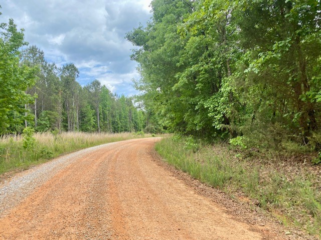0 Pete Johnson Road Tignall, GA 30668 - Photo 40 of 43 Road Frontage access to Power and Fiber Optics