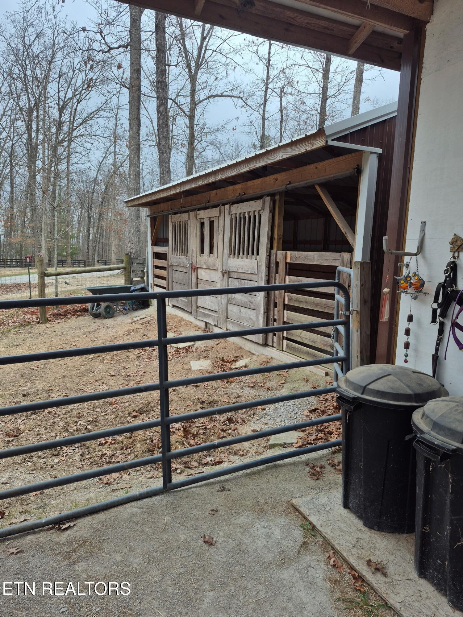 101 Ridge Point Road Jamestown, TN 38556 - Photo 46 of 58