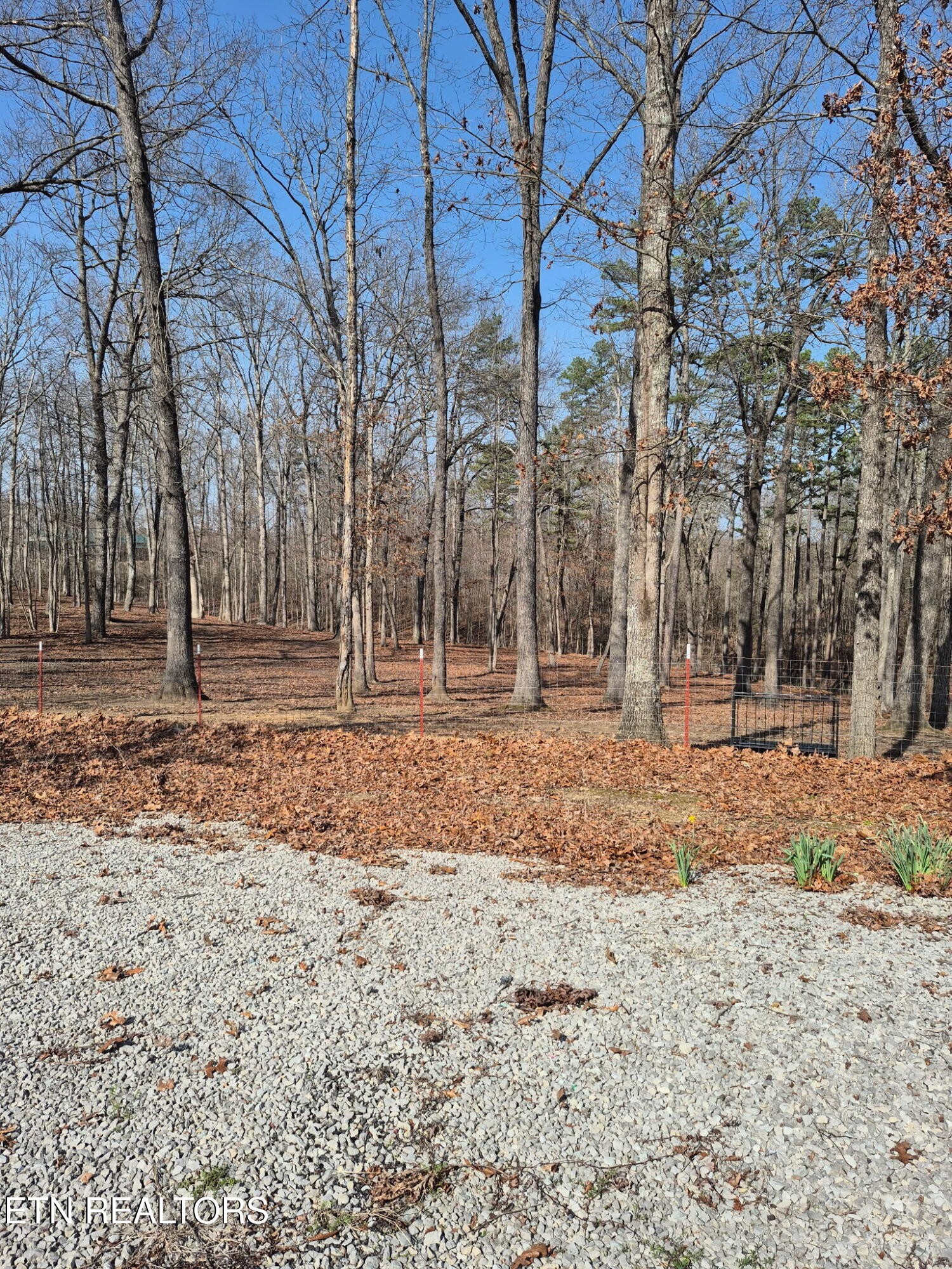 101 Ridge Point Road Jamestown, TN 38556 - Photo 55 of 58