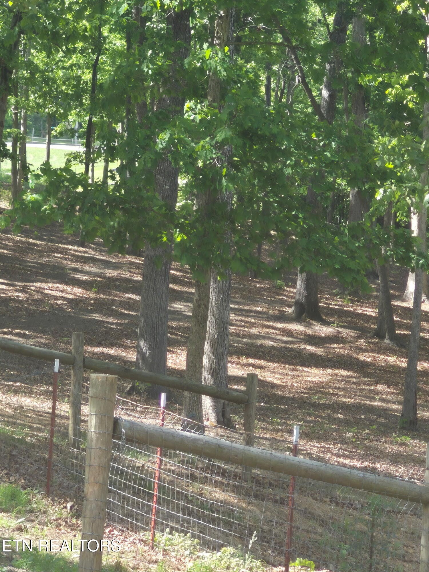 101 Ridge Point Road Jamestown, TN 38556 - Photo 56 of 58
