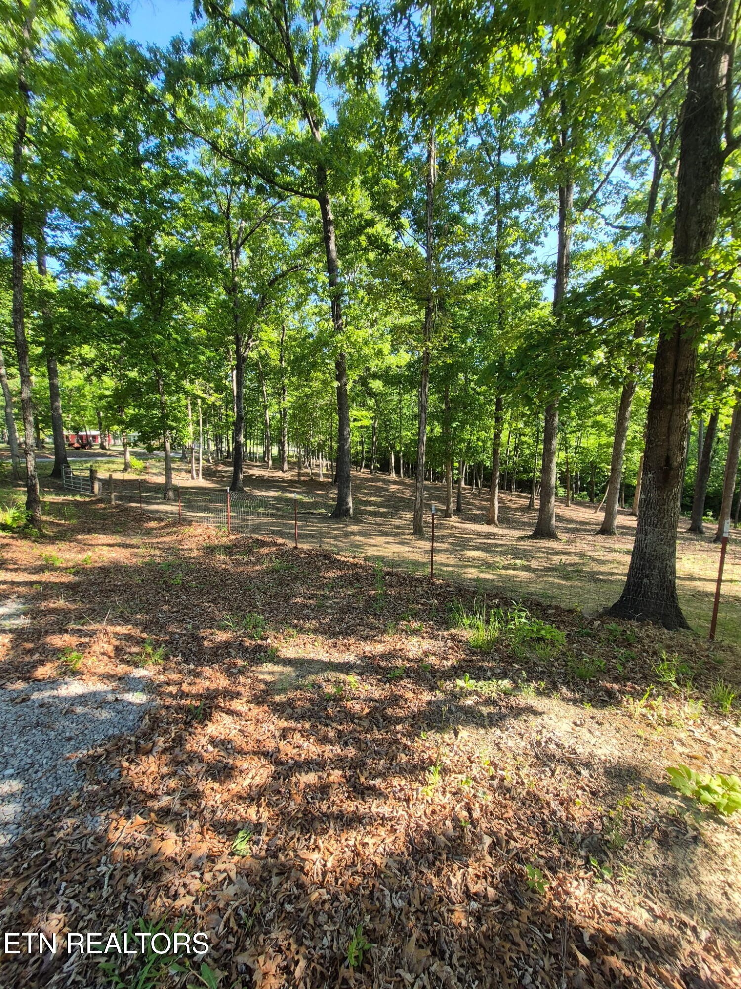 101 Ridge Point Road Jamestown, TN 38556 - Photo 57 of 58