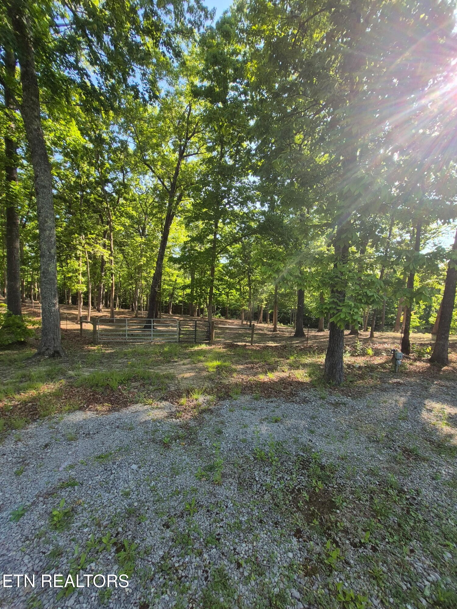 101 Ridge Point Road Jamestown, TN 38556 - Photo 58 of 58