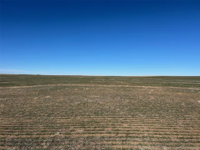a view of beach with ocean
