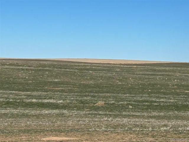 a view of beach and ocean