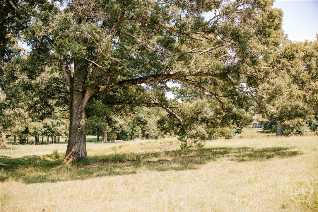 6 Burt Road Carlton, GA 30627 - Photo 53 of 58 Gallery Image 53