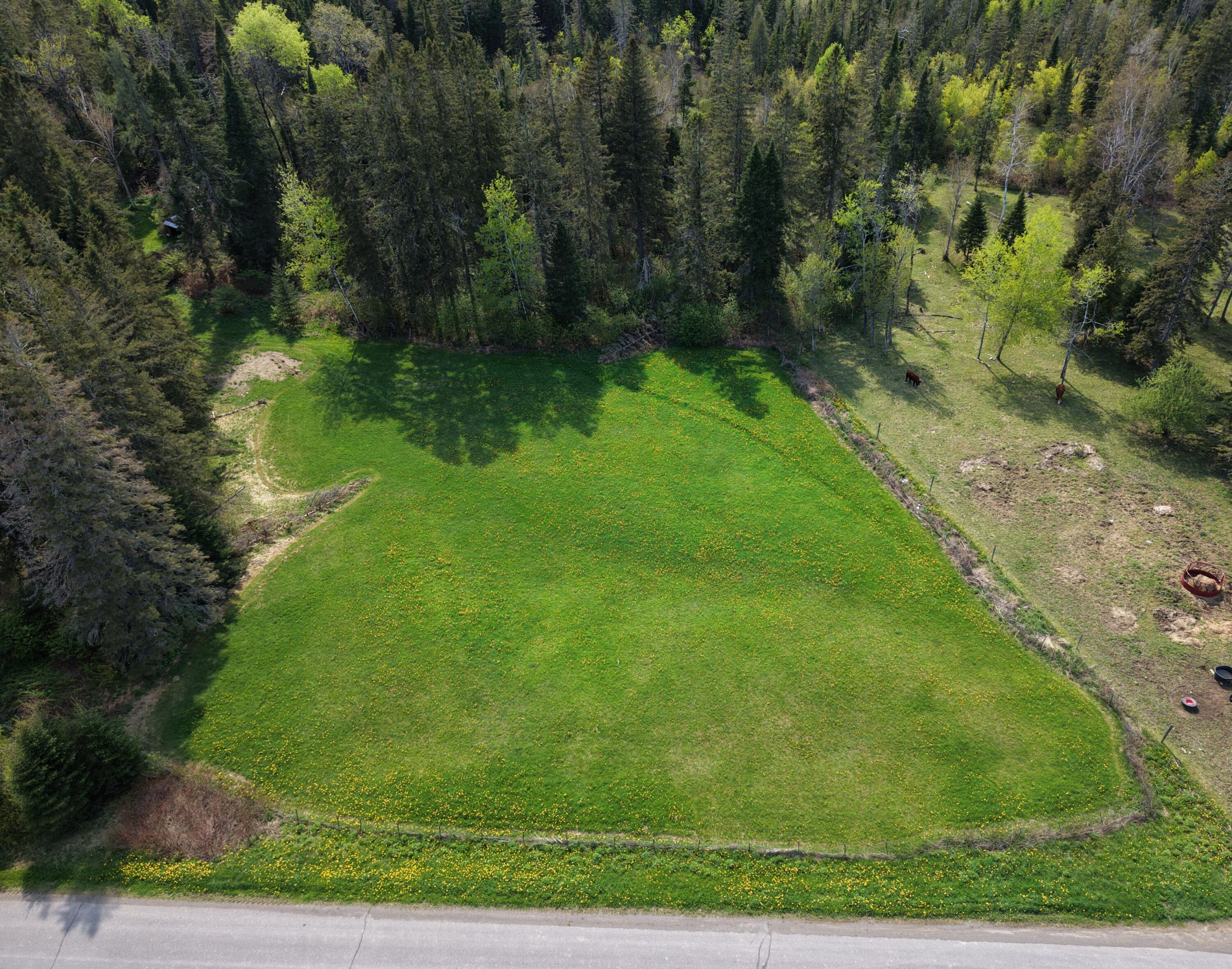 Lot 109 Cote Road Caribou, ME 04736 - Photo 4 of 7 45825