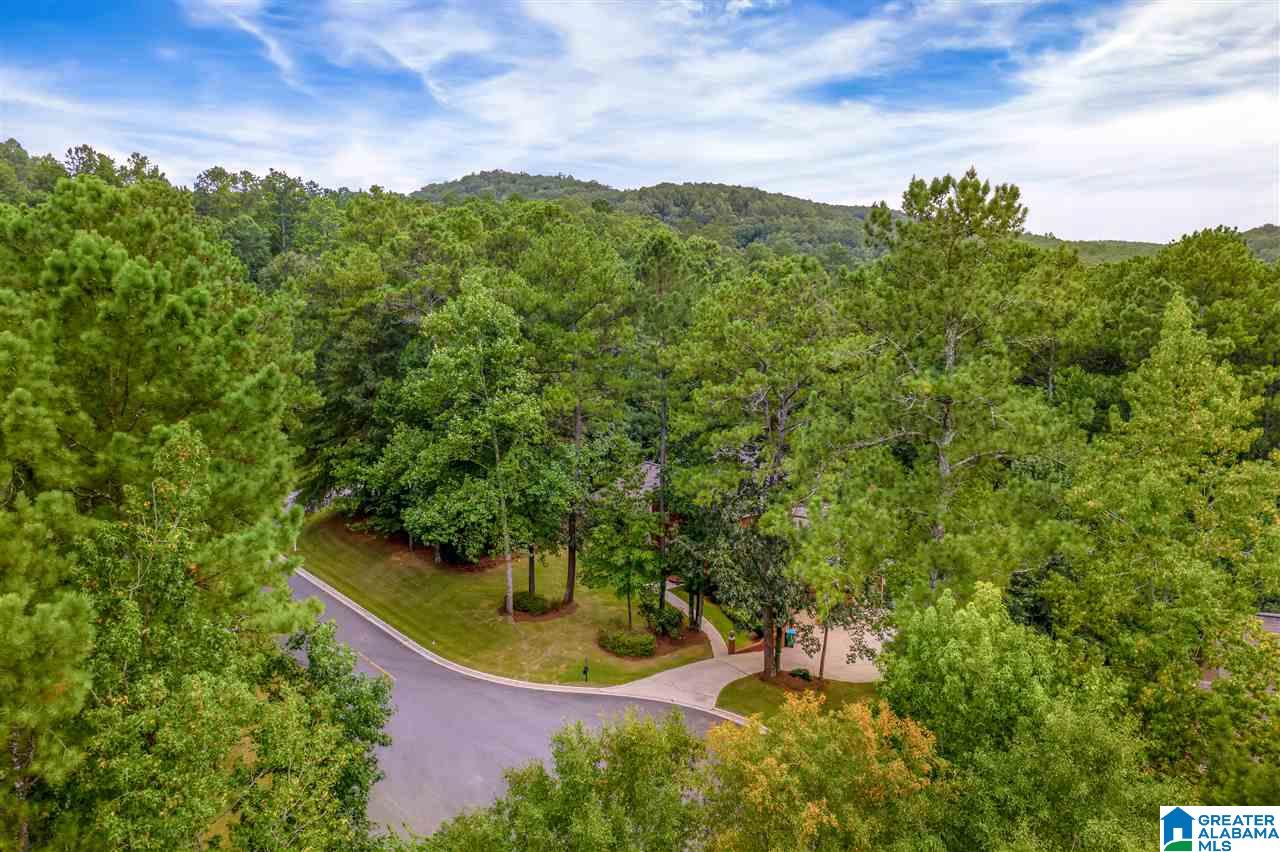 21 Prestwick Circle Oneonta, AL 35121 - Photo 4 of 41