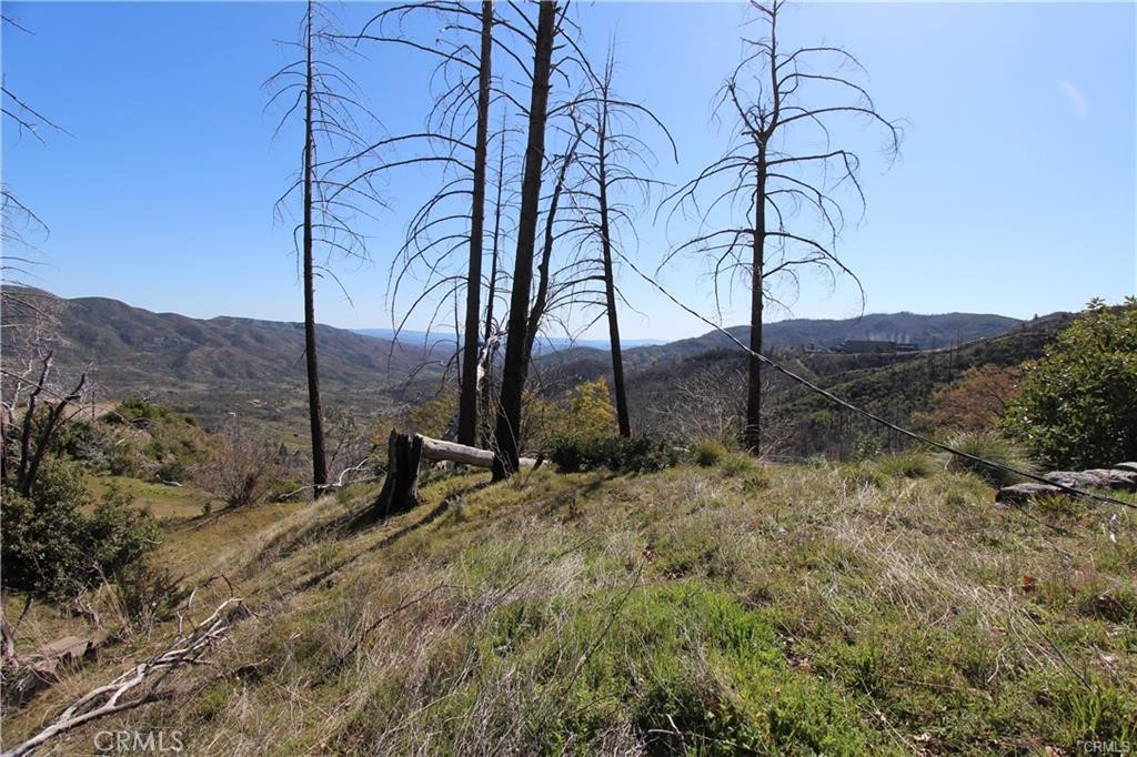 10155 Socrates Mine Road Middletown, CA 95461 - Photo 17 of 69 a backyard of a house with lots of green space