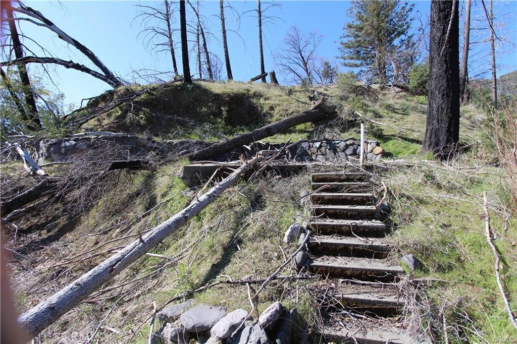 10155 Socrates Mine Road Middletown, CA 95461 - Photo 20 of 69 a view of a yard with a tree