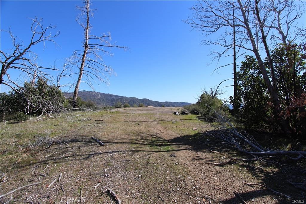 10155 Socrates Mine Road Middletown, CA 95461 - Photo 22 of 69 a view of a dry yard with trees