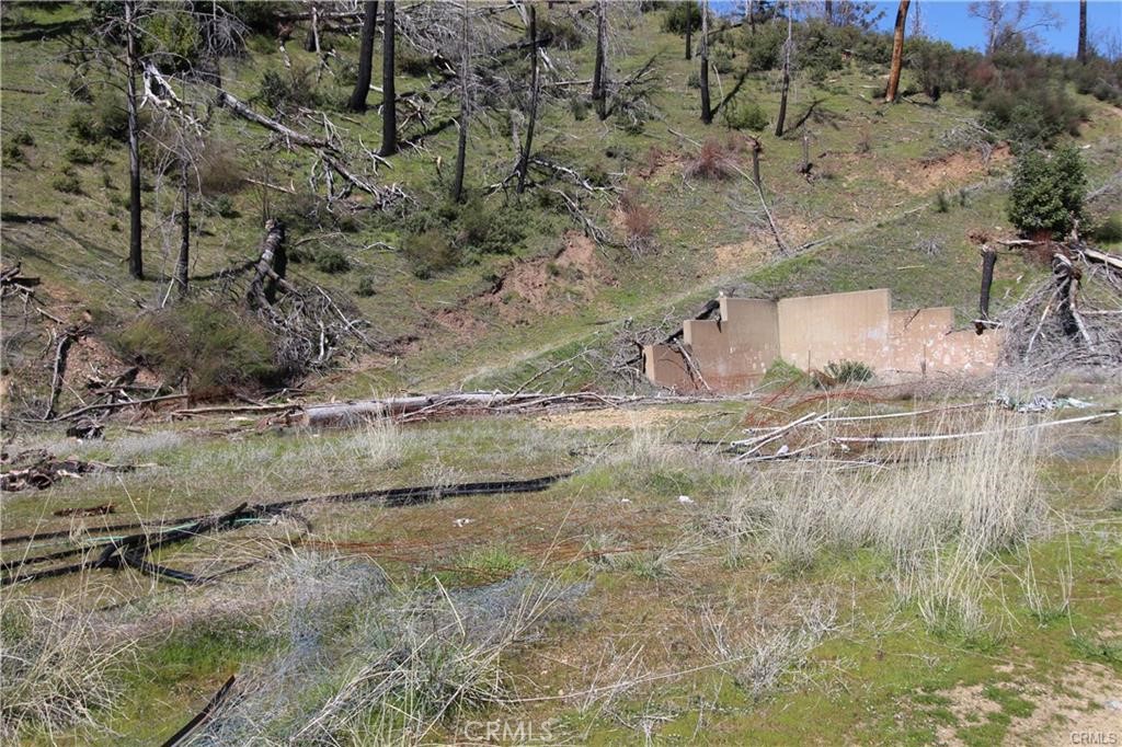 10155 Socrates Mine Road Middletown, CA 95461 - Photo 29 of 69 a view of a dry yard with large trees