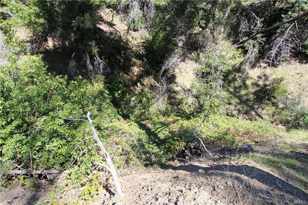 10155 Socrates Mine Road Middletown, CA 95461 - Photo 30 of 69 a view of a large yard with lots of bushes