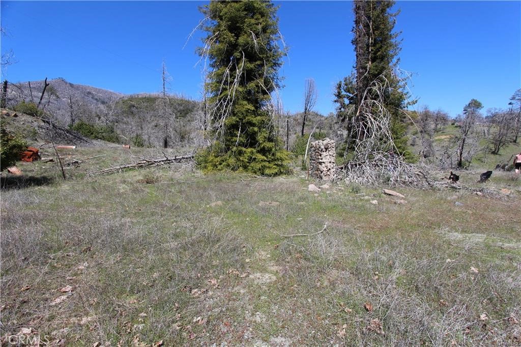 10155 Socrates Mine Road Middletown, CA 95461 - Photo 32 of 69 a view of a dry yard with trees