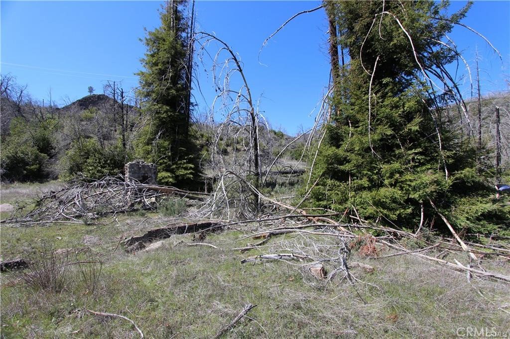 10155 Socrates Mine Road Middletown, CA 95461 - Photo 33 of 69 a view of a dry yard with trees