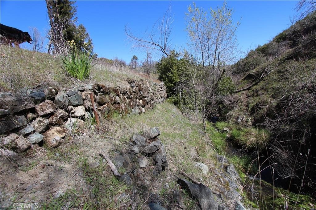 10155 Socrates Mine Road Middletown, CA 95461 - Photo 35 of 69 a view of a yard with plants and trees