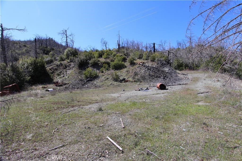 10155 Socrates Mine Road Middletown, CA 95461 - Photo 39 of 69 a view of a dry yard with trees in the background