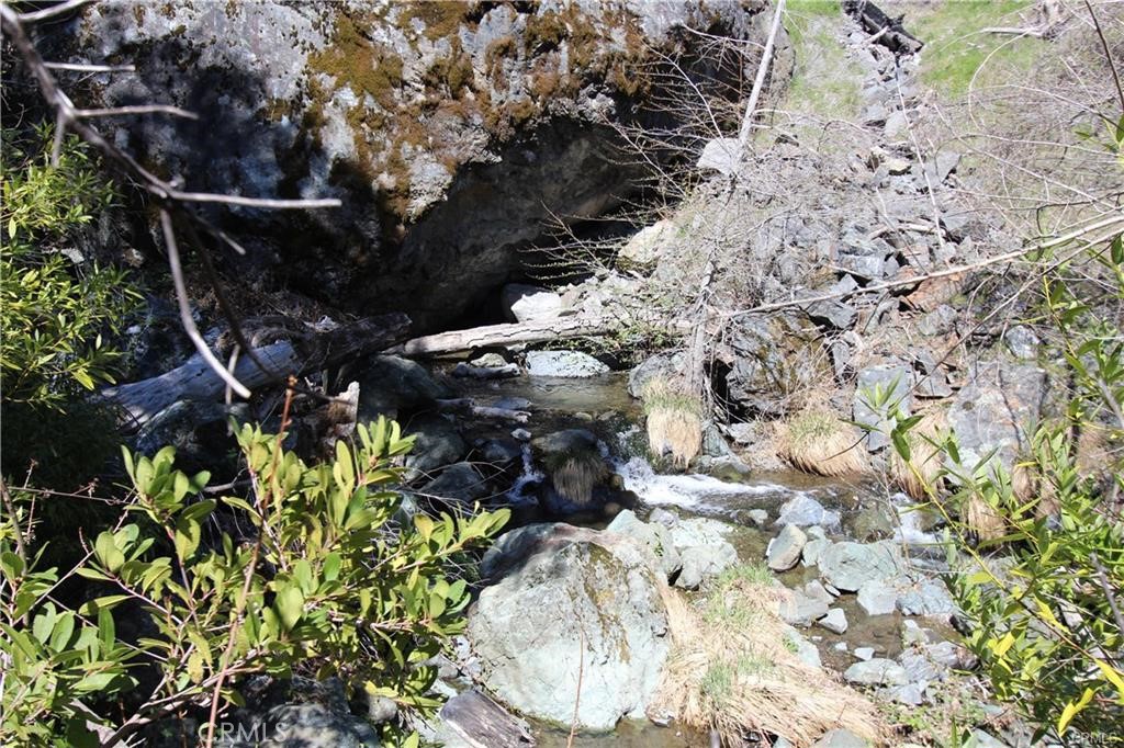 10155 Socrates Mine Road Middletown, CA 95461 - Photo 40 of 69 a view of flowers in a tree