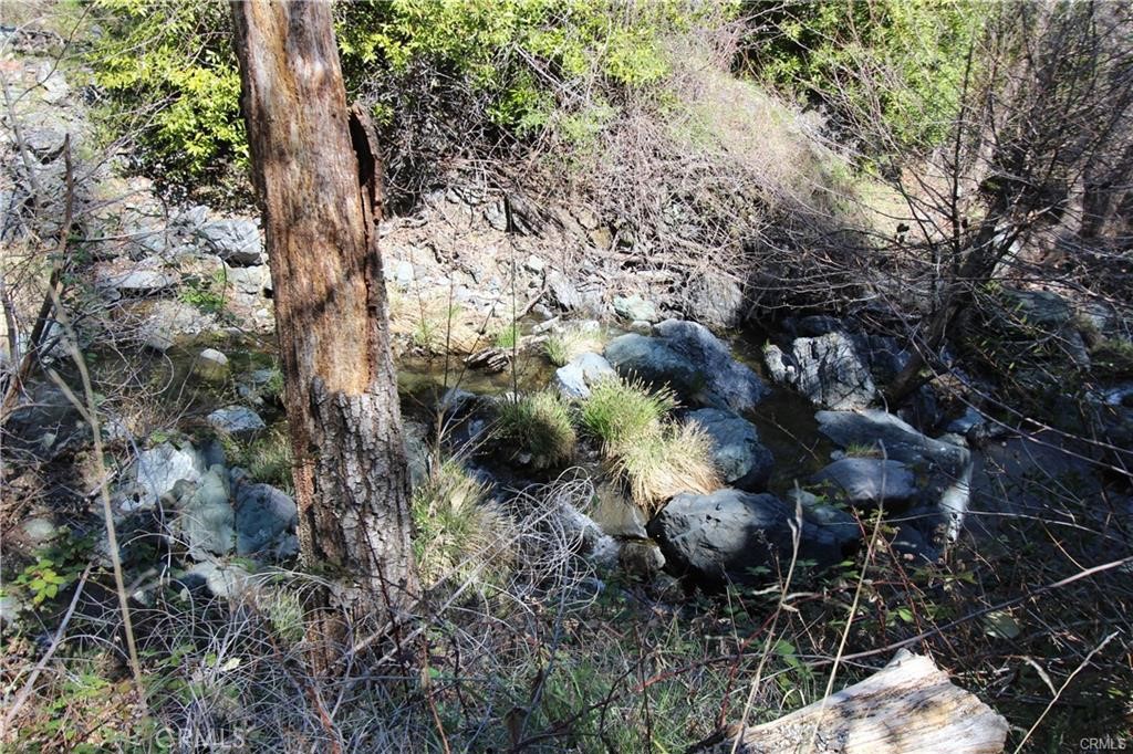 10155 Socrates Mine Road Middletown, CA 95461 - Photo 41 of 69 a view of a forest with lots of trees
