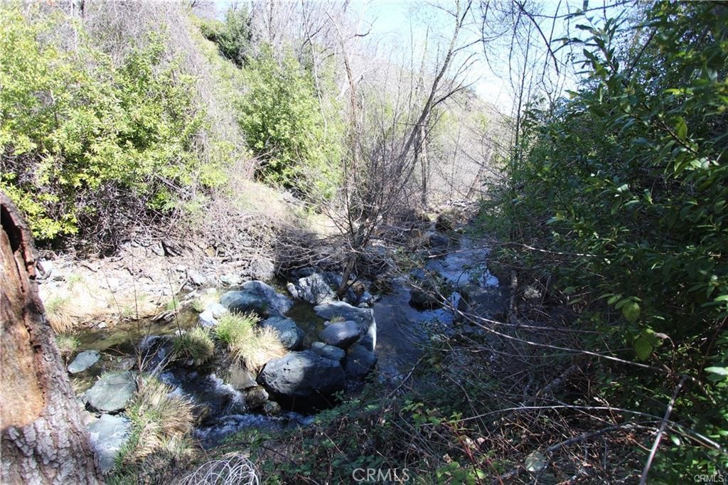 10155 Socrates Mine Road Middletown, CA 95461 - Photo 42 of 69 a view of grapes plant