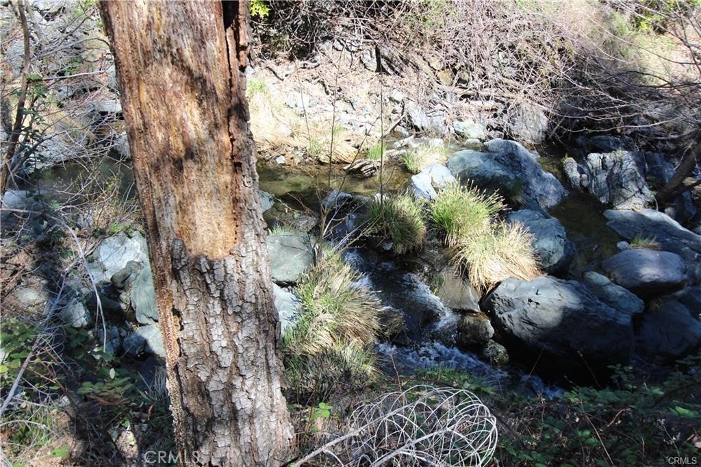 10155 Socrates Mine Road Middletown, CA 95461 - Photo 45 of 69 a view of a forest that has a tree
