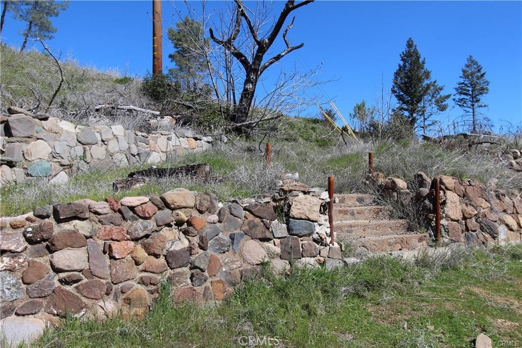10155 Socrates Mine Road Middletown, CA 95461 - Photo 5 of 69 a view of a yard with a tree