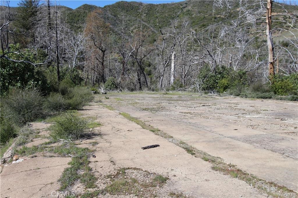 10155 Socrates Mine Road Middletown, CA 95461 - Photo 51 of 69 a view of a dry yard with trees